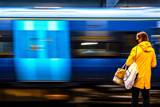 Free Train Passenger photo and picture