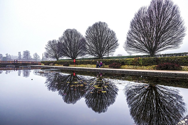 Free Trees Pond photo and picture