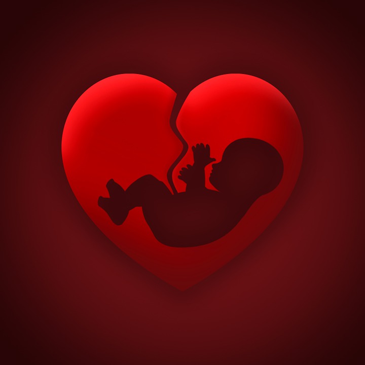 Kochanie, Serce, Łono, Macicy, Aborcja, Puls, Życia