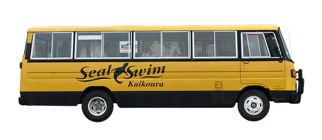 Free bus tourism travel illustration