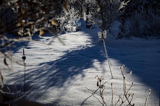 Free Winter Garden photo and picture