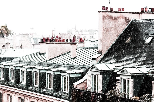 Free Paris Roof photo and picture