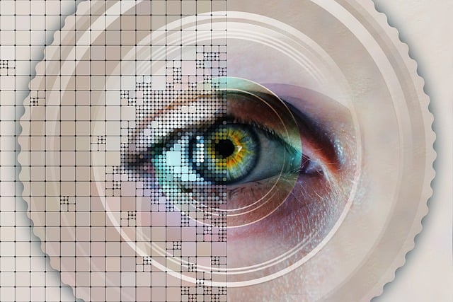 Free eye iris biometrics illustration