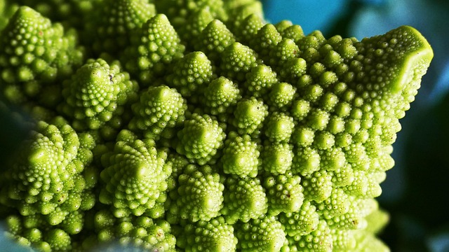 Free Macro Vegetable photo and picture