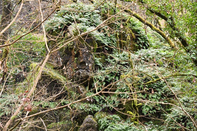 Free Moai Pierre photo and picture