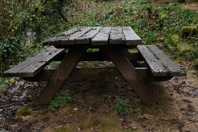 Free Bench Fall photo and picture