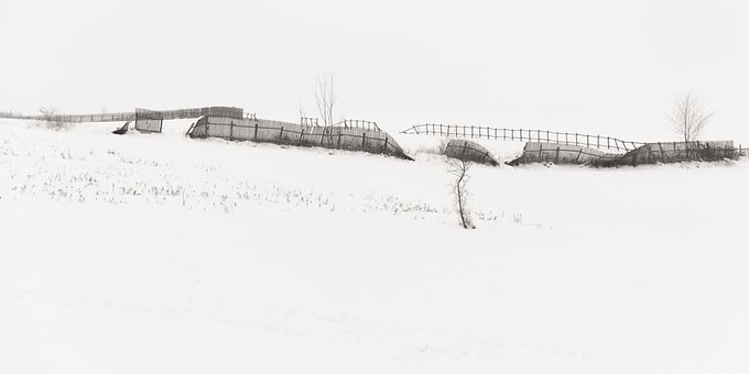 Free Winter Field photo and picture