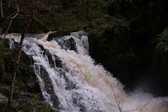 Free Water Cascade photo and picture
