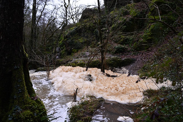 Free Mousse River photo and picture