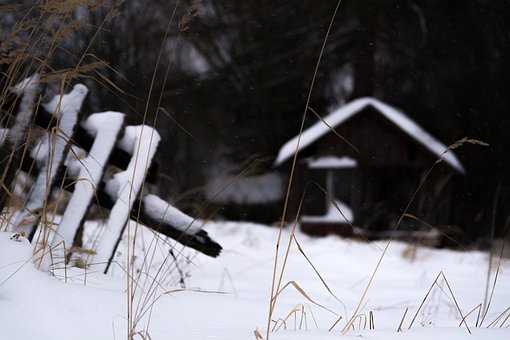 Free Winter The Fence photo and picture