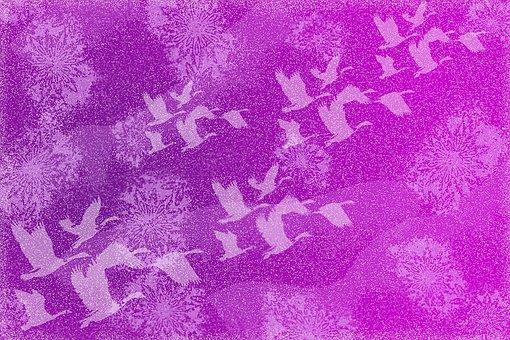 Free Japanese Crane photo and picture
