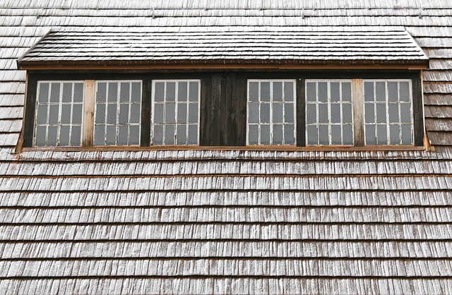 Free Alte Elisabeth Windows photo and picture