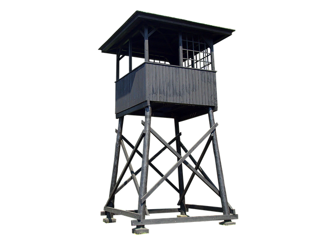 Free tower camp auschwitz illustration