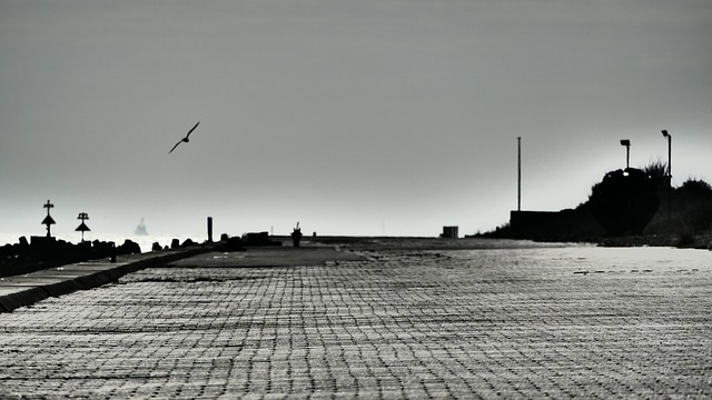 Schwarz-Weiß, Weg, Landschaft