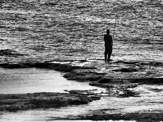 Dormir, Blanco Y Negro, Dormido, Mar