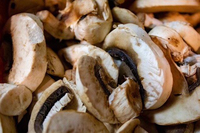 Pilze, Gemüse, Gesund, Ernährung