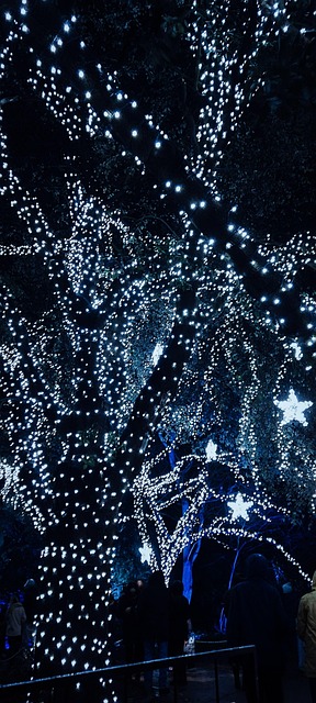 Baum, Lichterketten, Beleuchtet