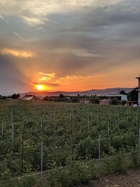 Pôr Do Sol, Cenário, Campo, Natureza