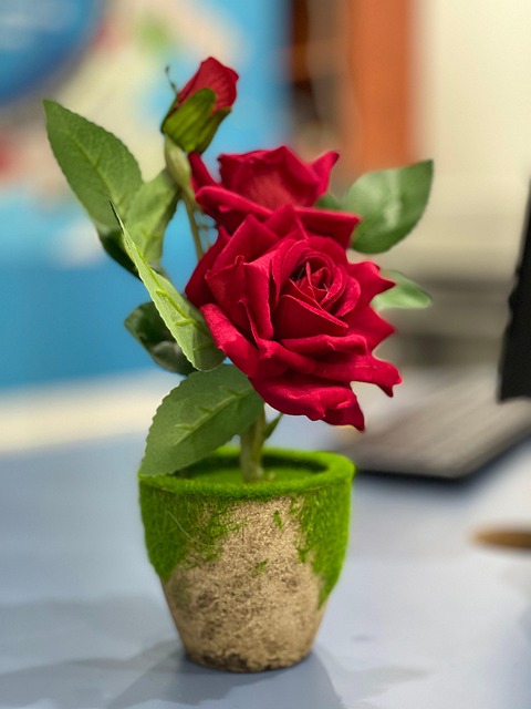 Free Iphone 12Pro Click In Office photo and picture