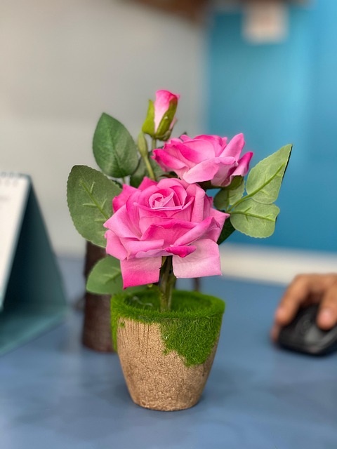 Free Iphone 12Pro Working Time Pic photo and picture