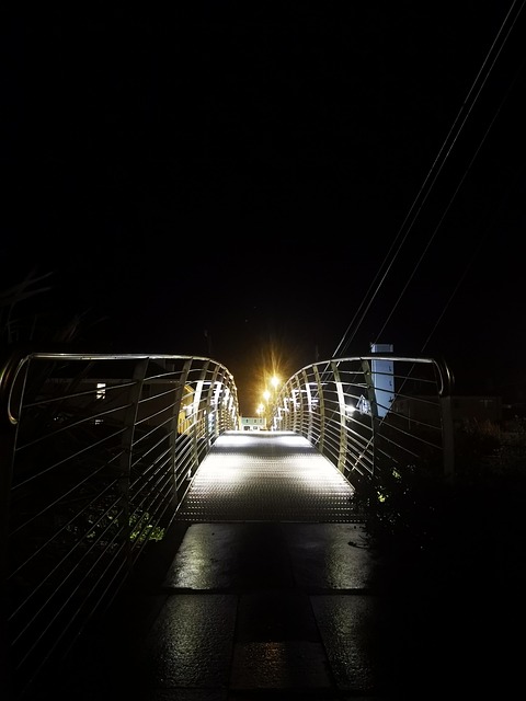 Free Bridge Night photo and picture
