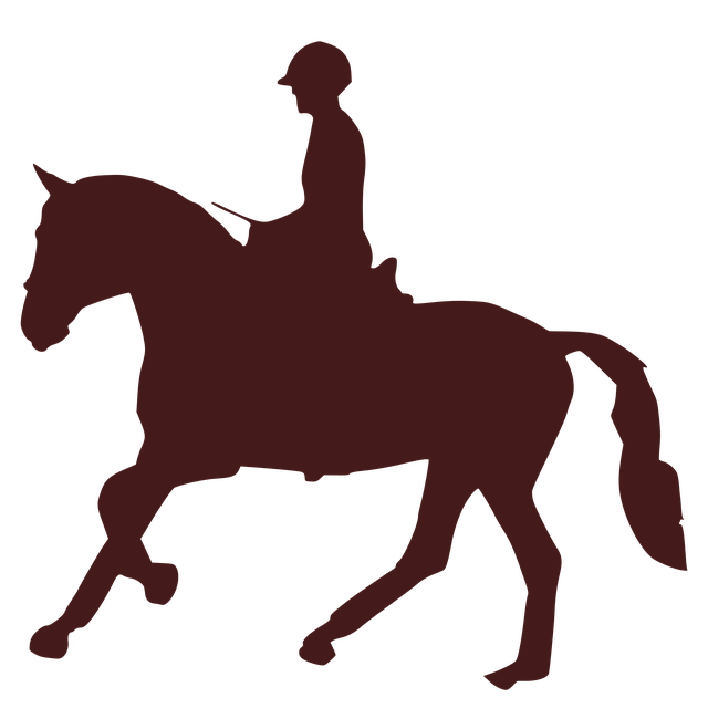 Free horse jockey silhouettes illustration