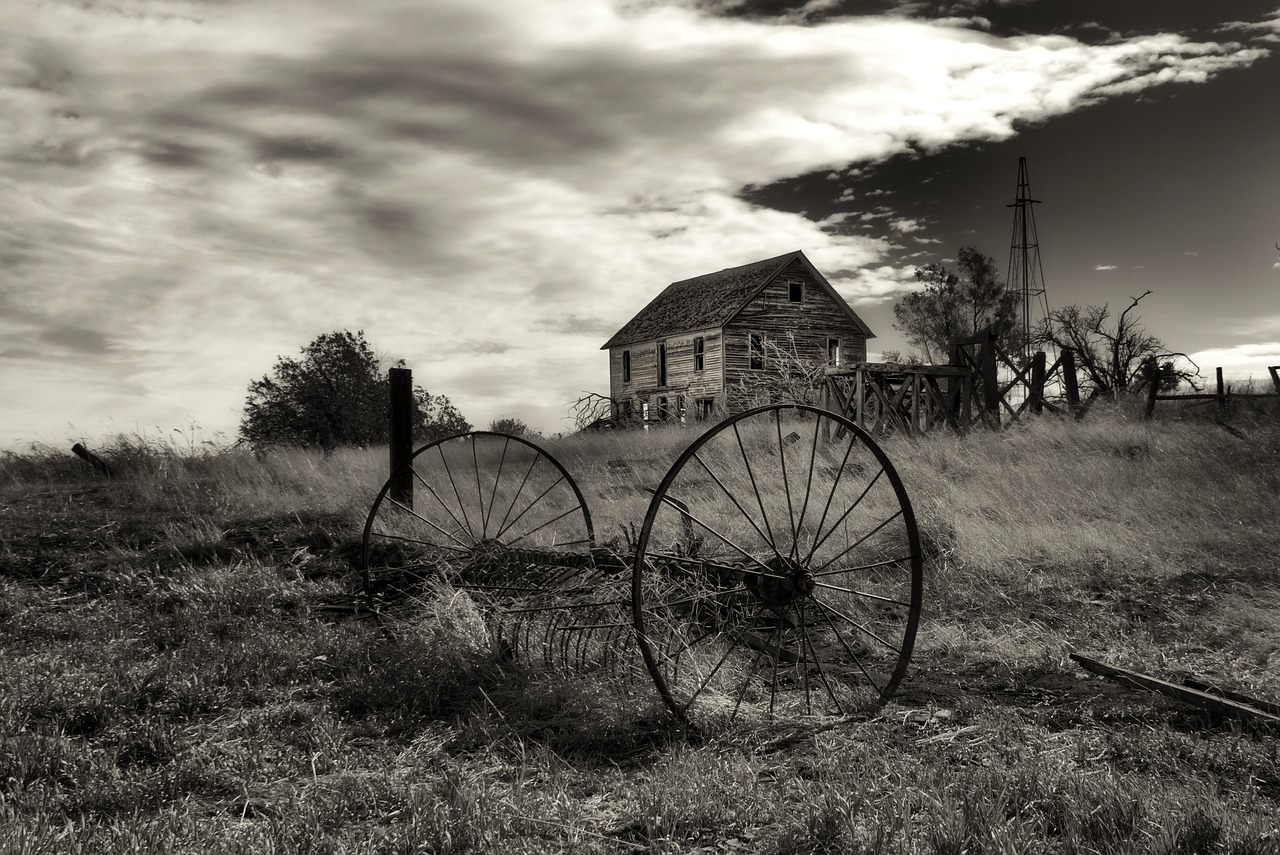 Farm - free online jigsaw puzzle photo
