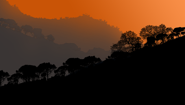 Download free HD stock image of Mountains Trees Free mountains trees forest illustration