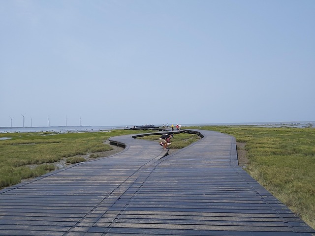 Free Wetlands Sea photo and picture