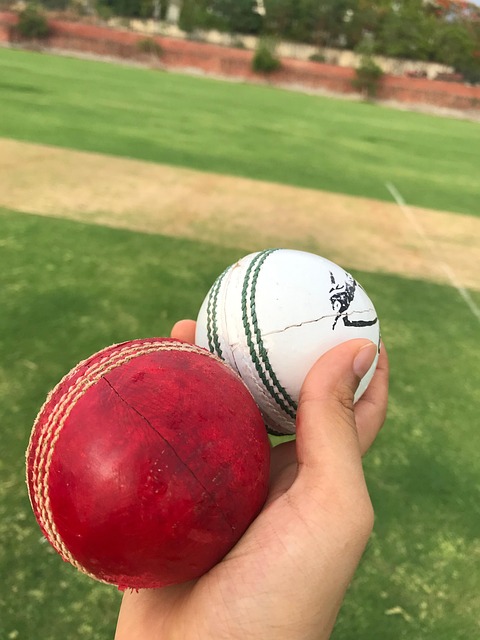 Free Balls Cricket photo and picture