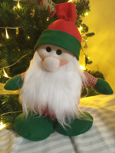 Free Christmas Nadal photo and picture