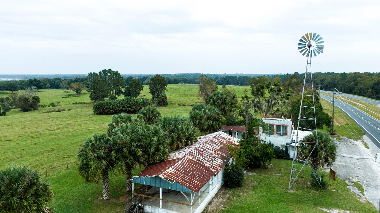 Windmill - free online jigsaw puzzle photo