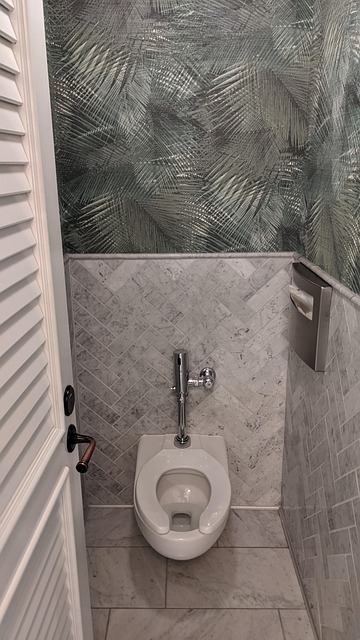 Free Toilet Wc photo and picture
