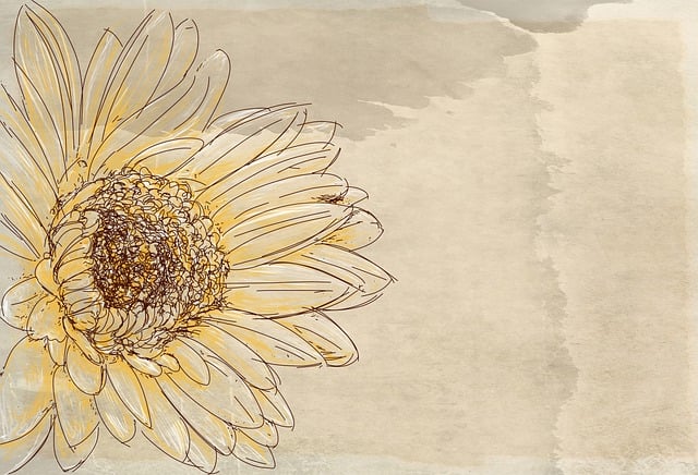 Download free HD stock image of Sunflower Flower Free sunflower flower drawing illustration