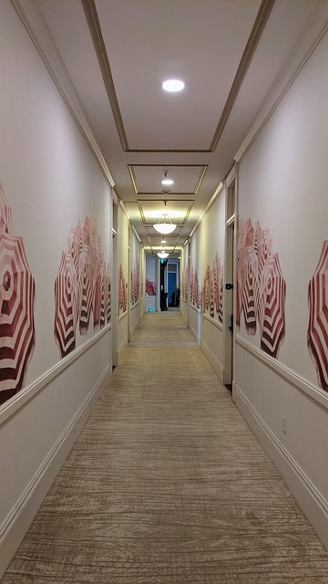 Free Corridor Hotel Corridor photo and picture