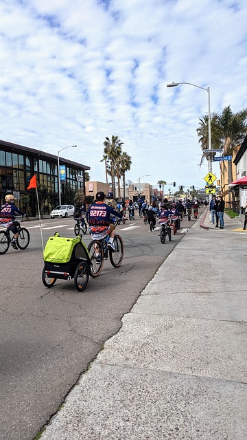 Free Bicycle Cyclist photo and picture