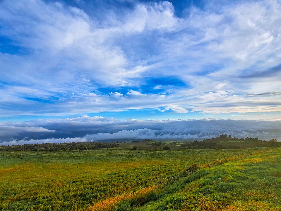 field-5975359_960_720.jpg