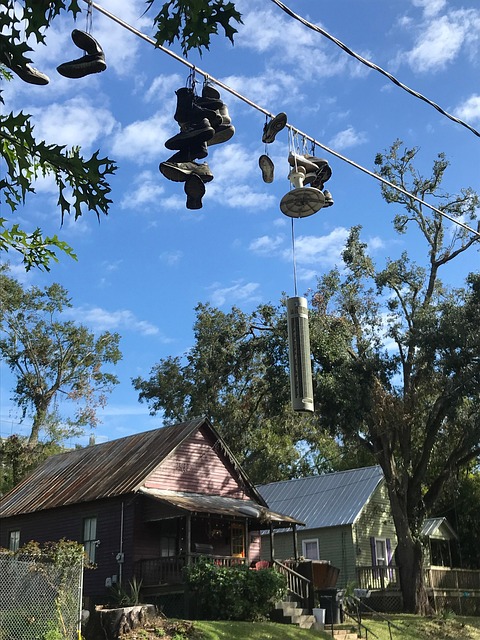 Free Shoes Phone Line photo and picture