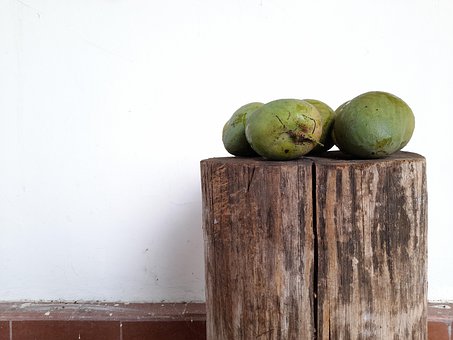 5+ Free Mango Wallpaper & Mango Photos - Pixabay