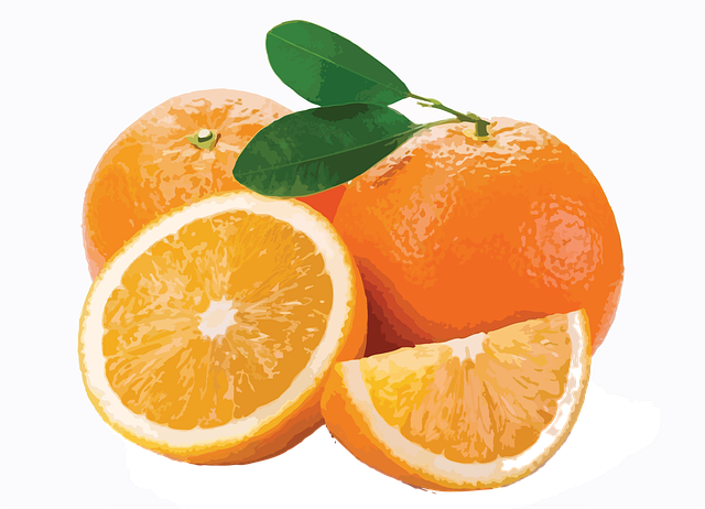 Free orange fruits slice illustration