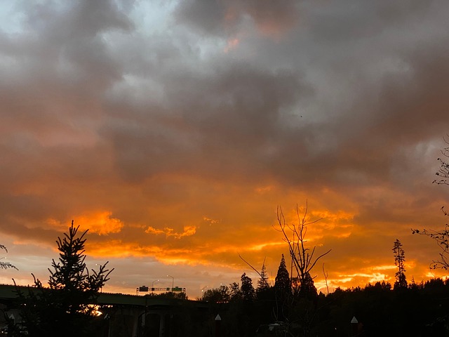 Free Sky Orange photo and picture