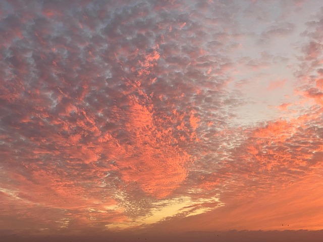 Free Red Sky photo and picture