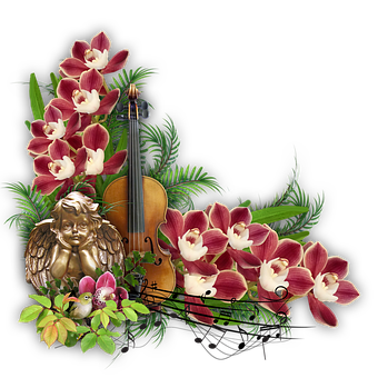 ヴァイオリン 音楽に関する70以上の無料イラスト Pixabay