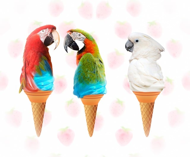 Papageien, Eis, Kegel, Dessert, Softeis