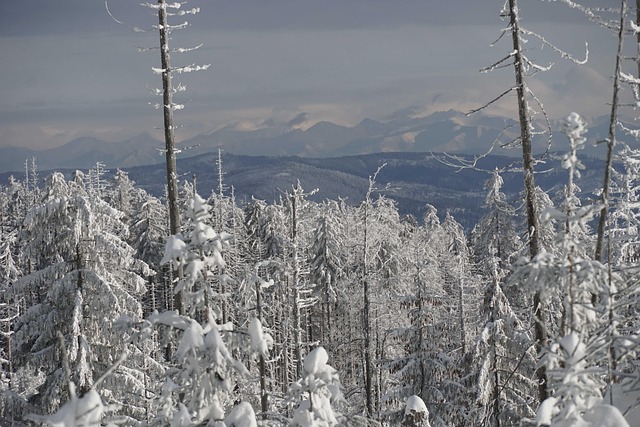Free Mountains Winter photo and picture