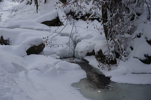 Free River Brook photo and picture