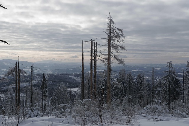 Free Snow Mountains photo and picture