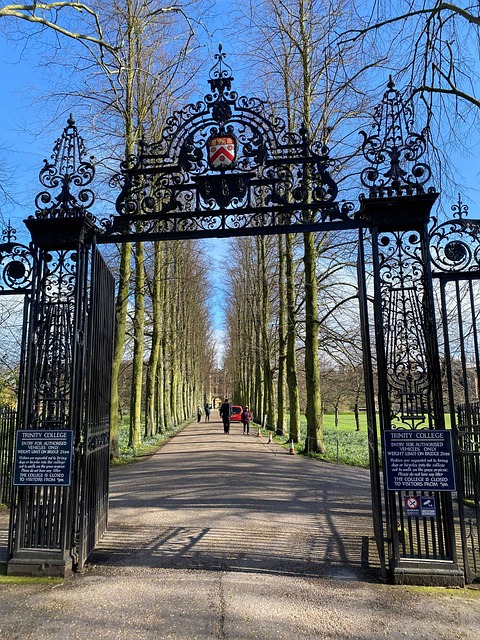 Free Trinity Cambridge photo and picture