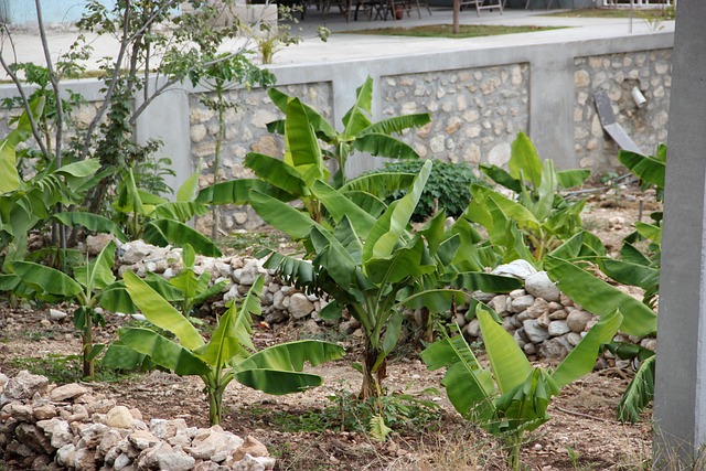 Free Farming Gardening photo and picture