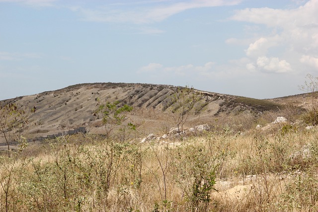 Free Hill Landscape photo and picture